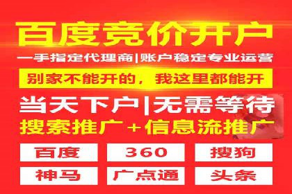 提升关键词竞价排名转化率：经典案例解析